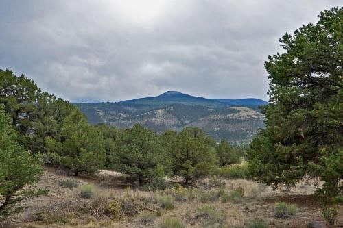Outdoor Pictures 24
