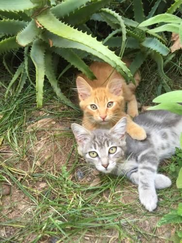 Outdoor Pictures 9
