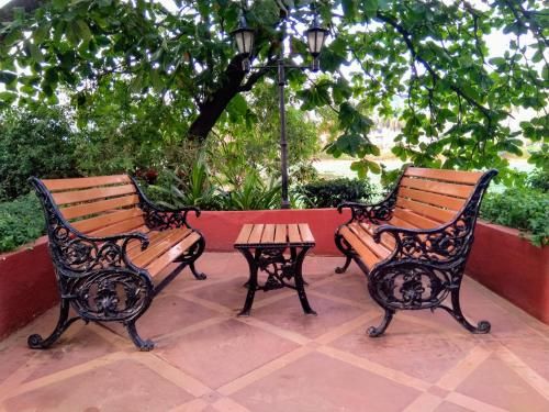 Outdoor Pictures 20