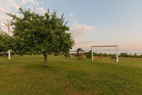 Outdoor Pictures 17