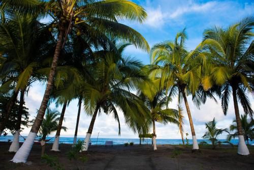 Hotel Tortuguero Beachfront