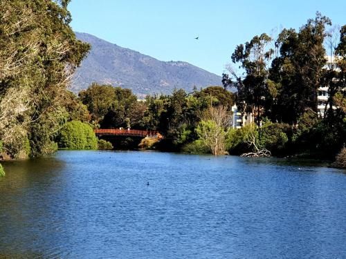 Outdoor Pictures 13