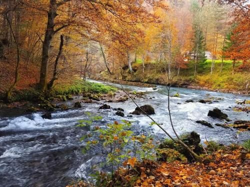 Outdoor Pictures 21