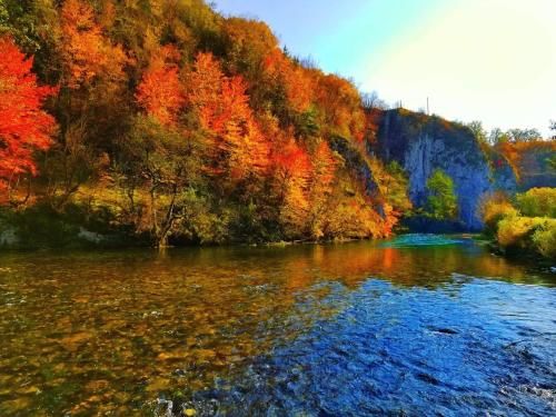 Outdoor Pictures 22