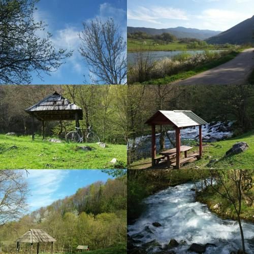 Outdoor Pictures 3