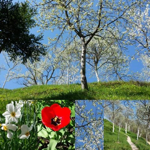 Outdoor Pictures 4
