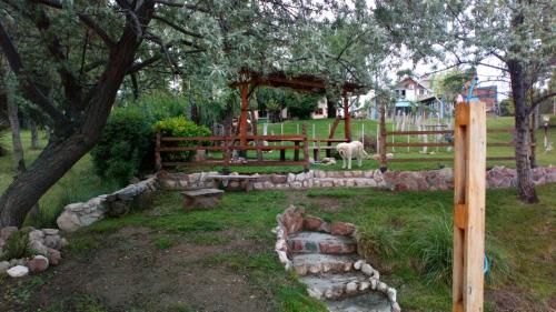 Outdoor Pictures 15