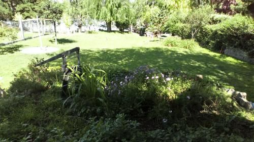 Outdoor Pictures 18
