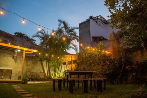 Outdoor Pictures 24