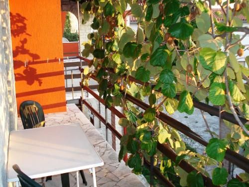 Outdoor Pictures 10
