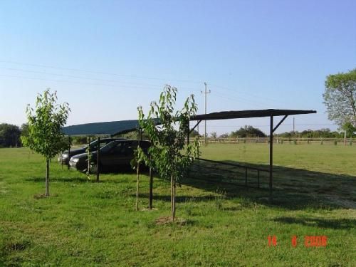 Outdoor Pictures 12