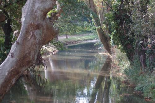 Outdoor Pictures 15
