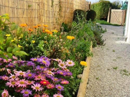Outdoor Pictures 24
