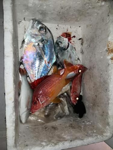 Xen Midu Hotel Addu City Maldives