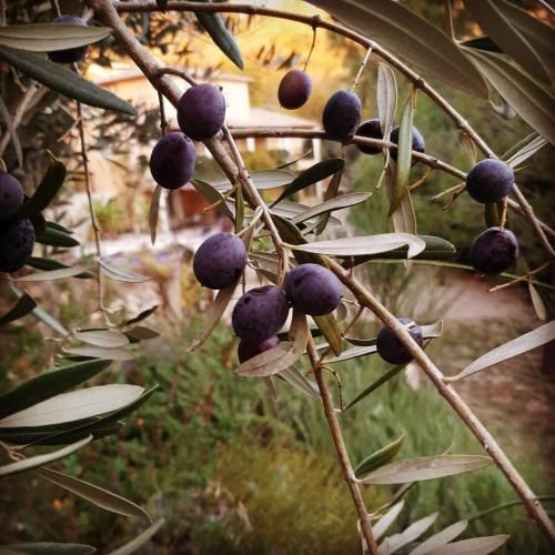 Outdoor Pictures 8