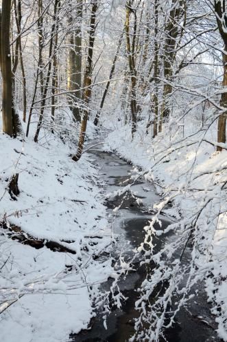 Outdoor Pictures 19
