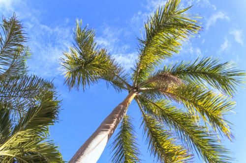 Outdoor Pictures 21