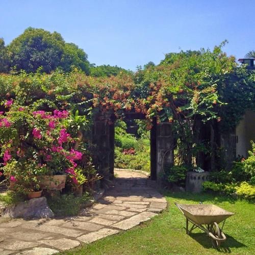 Outdoor Pictures 20