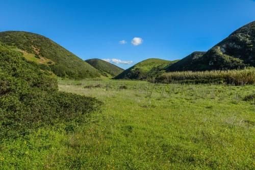 Outdoor Pictures 22