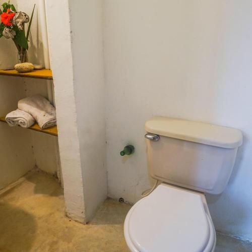 Ecocabaña Rosa María