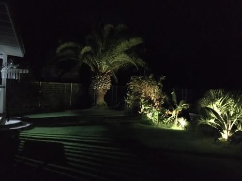 Outdoor Pictures 7