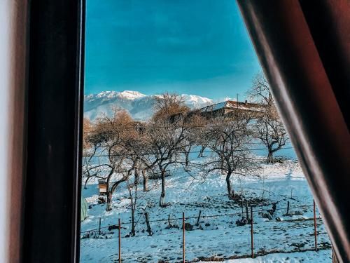 Transylvania Mountain Exclusive