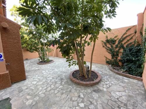 Outdoor Pictures 7