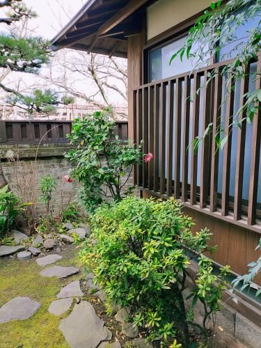 Outdoor Pictures 5