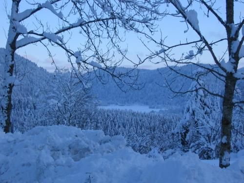 Outdoor Pictures 9
