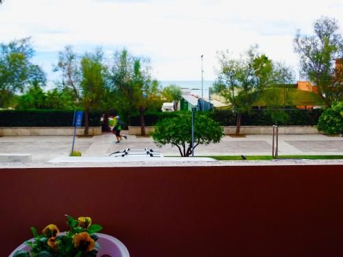 Outdoor Pictures 22