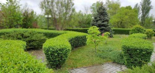 Outdoor Pictures 21