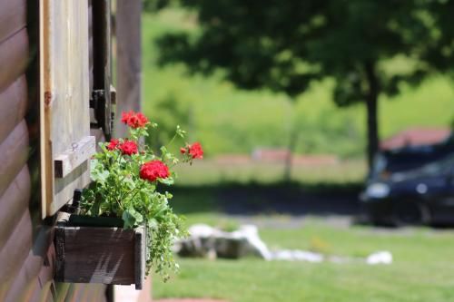 Outdoor Pictures 16