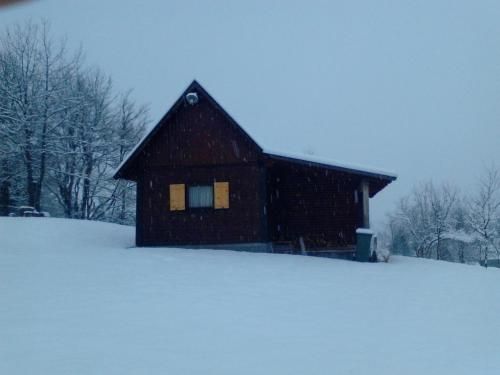 Outdoor Pictures 1