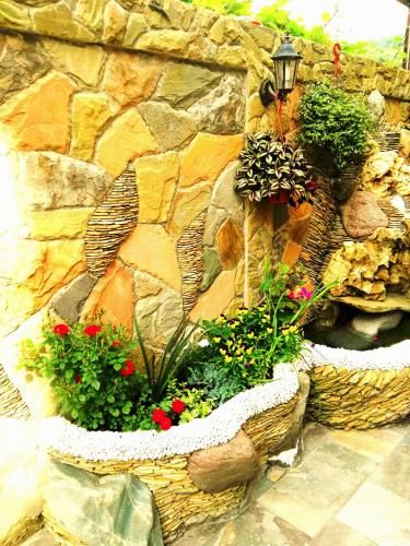 Outdoor Pictures 20