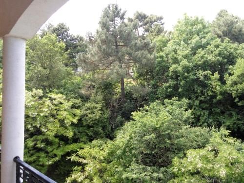 Outdoor Pictures 22