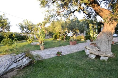 Outdoor Pictures 9