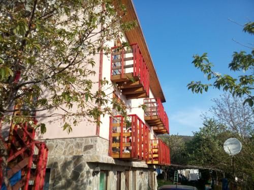 Outdoor Pictures 1
