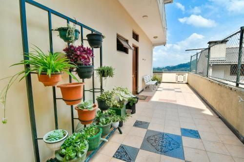 Outdoor Pictures 1