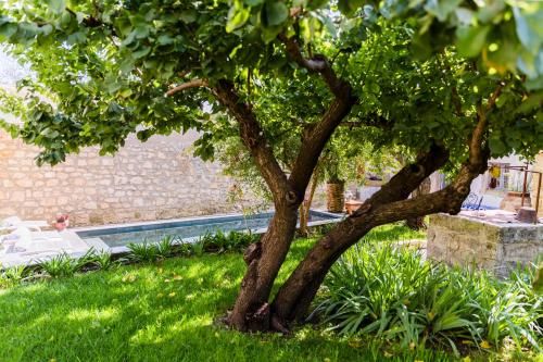 Outdoor Pictures 24