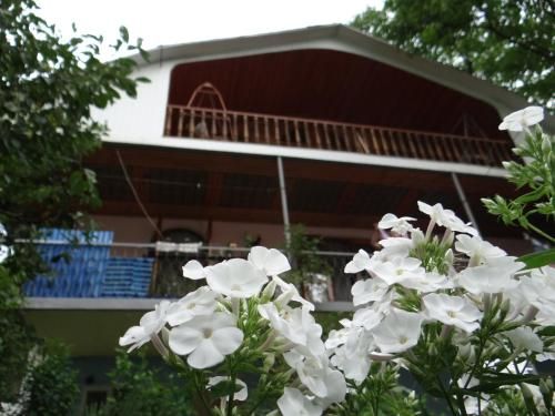 Outdoor Pictures 1
