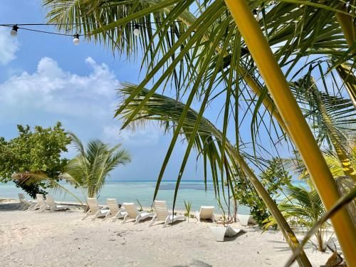 Dhiffushi Inn