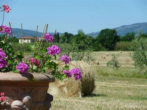 Outdoor Pictures 6