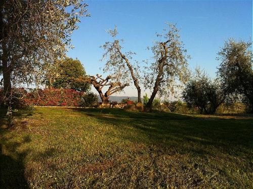 Outdoor Pictures 21