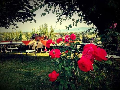 Outdoor Pictures 10