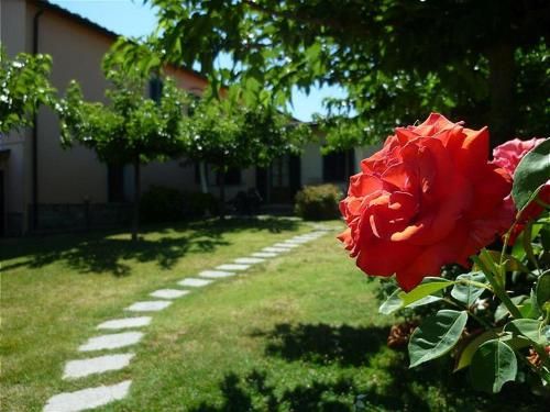 Outdoor Pictures 19