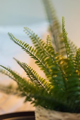 Outdoor Pictures 23