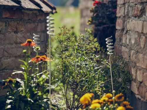 Outdoor Pictures 13