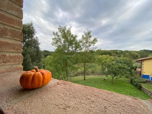 Outdoor Pictures 23