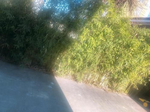 Outdoor Pictures 10