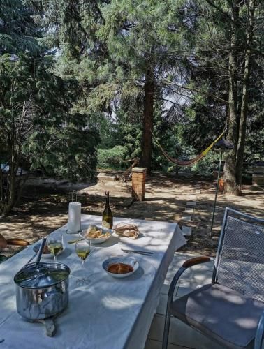 Outdoor Pictures 23